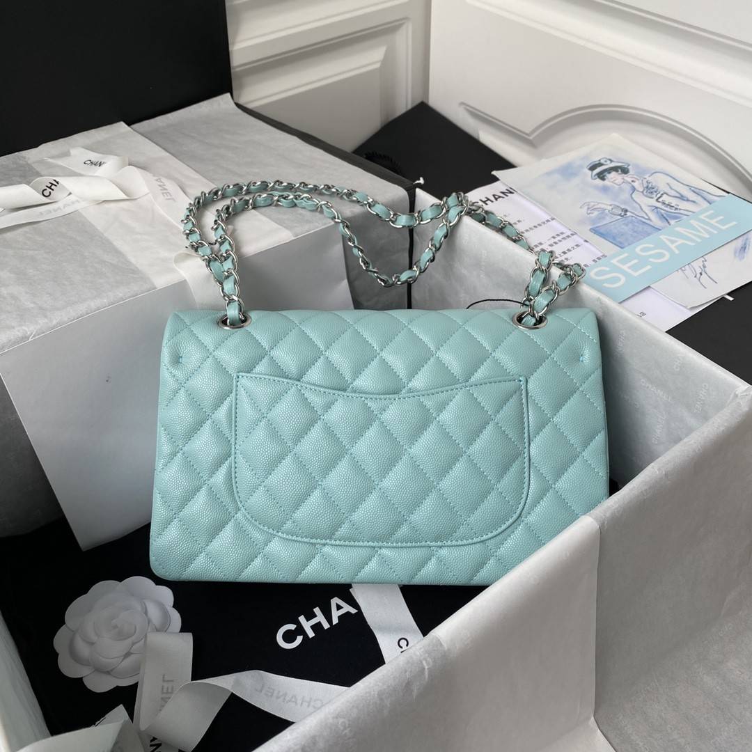 CH*ELClassic Flap Bag A01113, Top Quality, Medium Size: 23cm