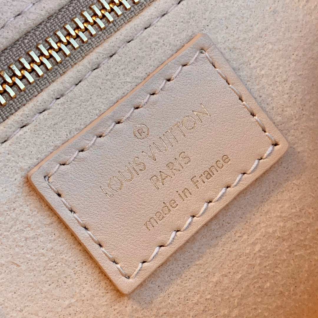 Louis Vuitton Petite Malle Souple Bag