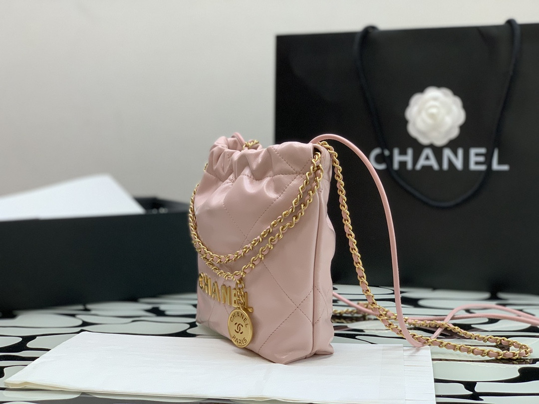 Chanle 22 Backpack Mini