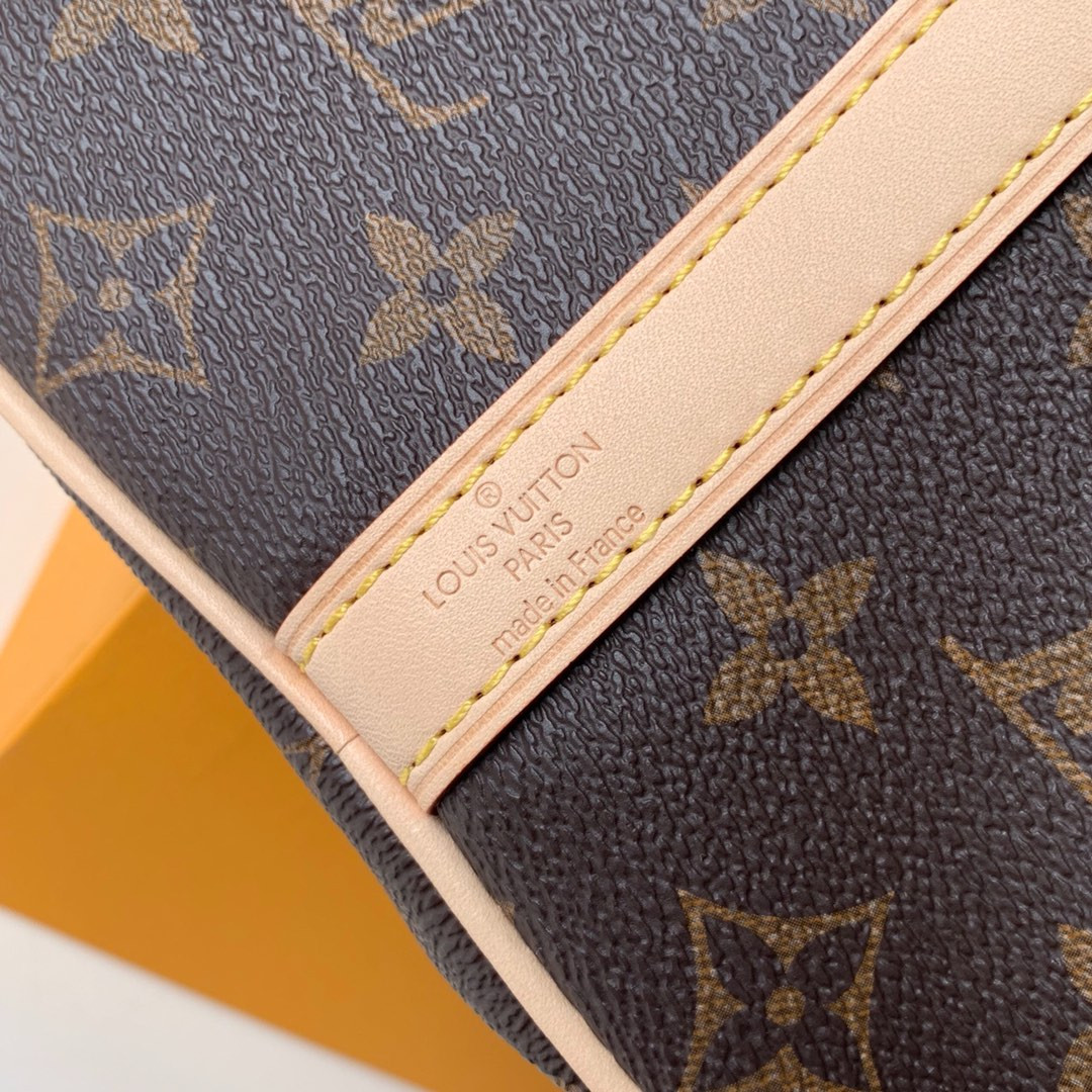 Louis Vuitton Speedy Bandoulière Bag