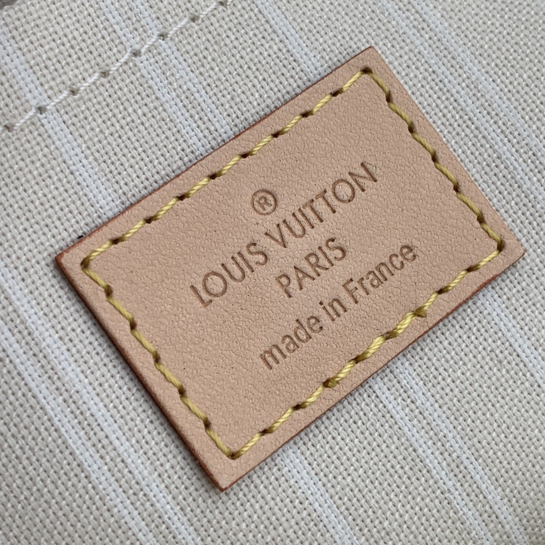 Louis Vuitton Multi Pochette Accessories Bag