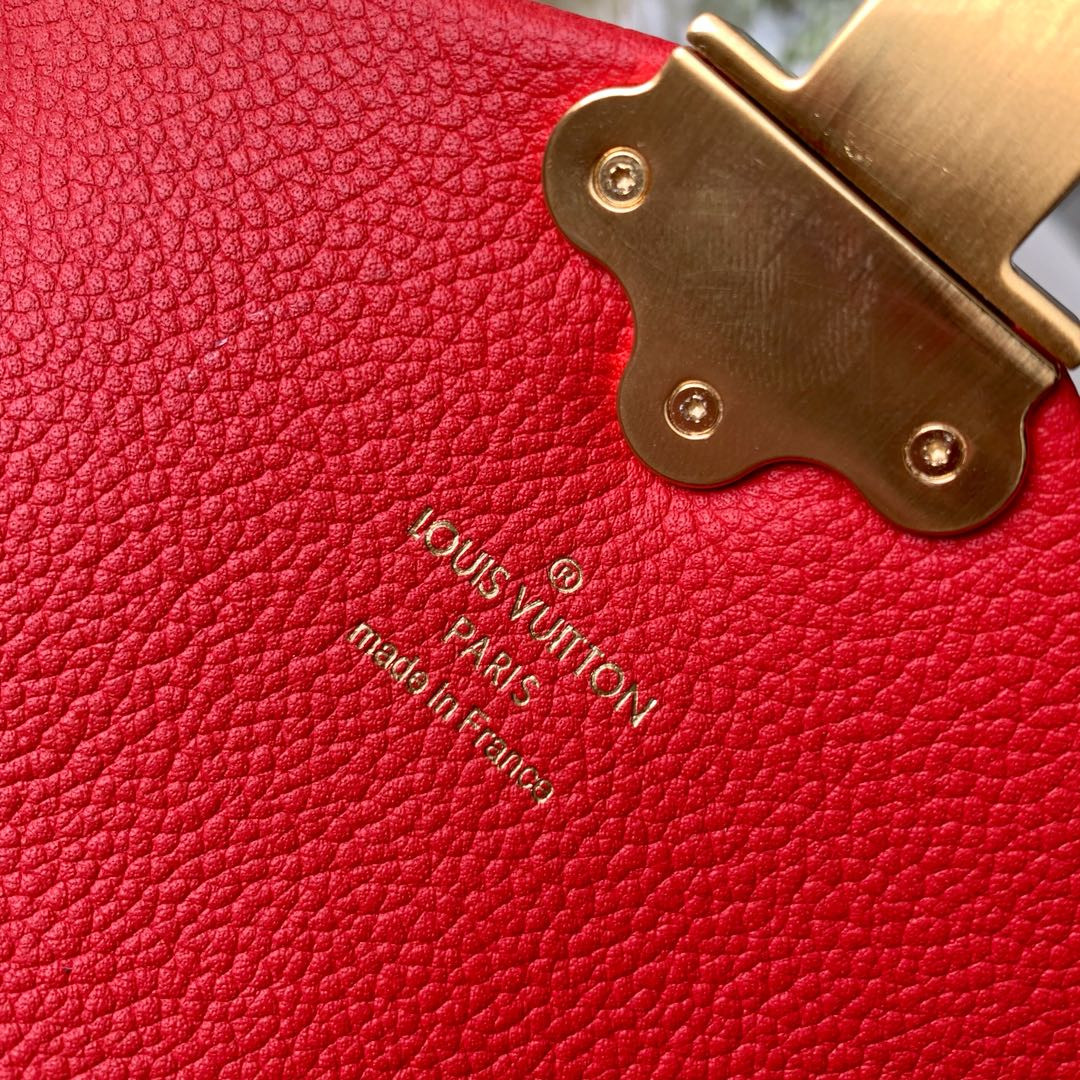 Louis Vuitton Clapton Bag