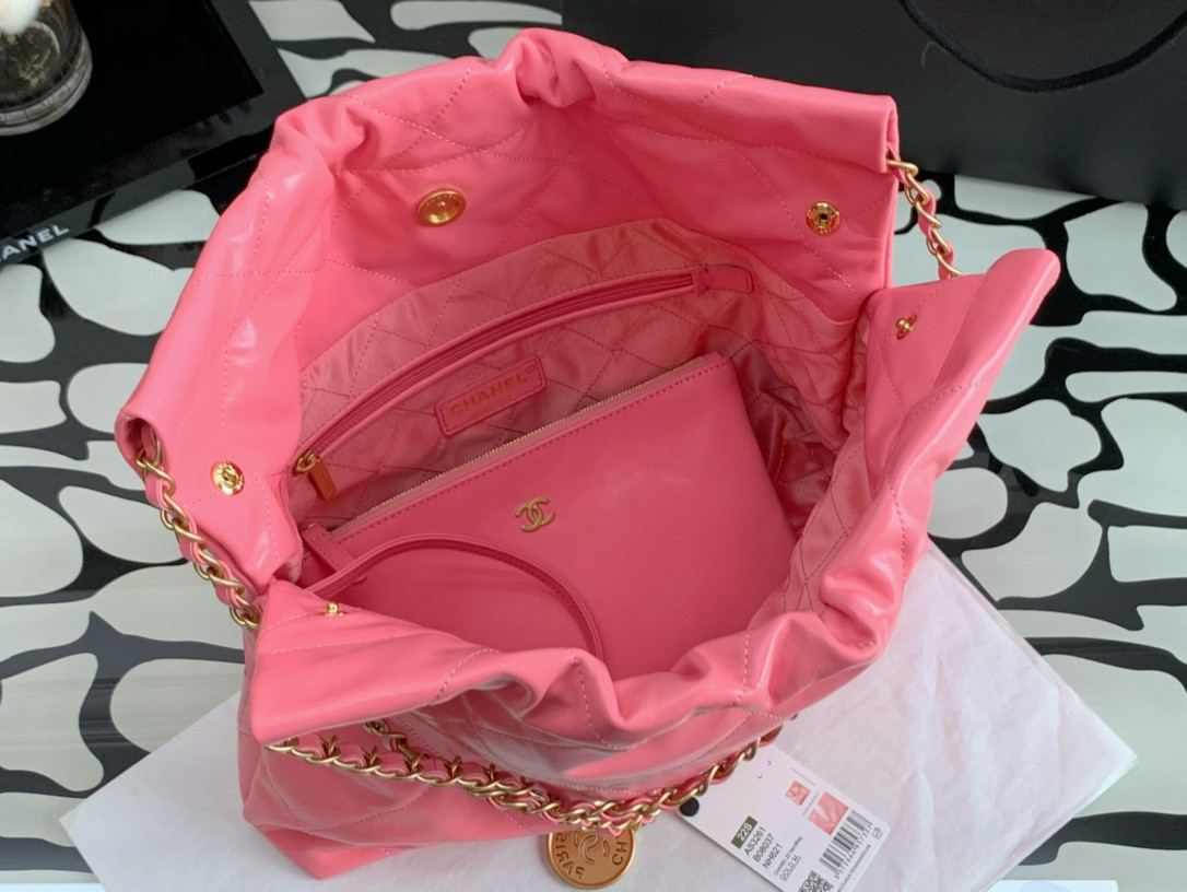 Chanle 22 Backpack