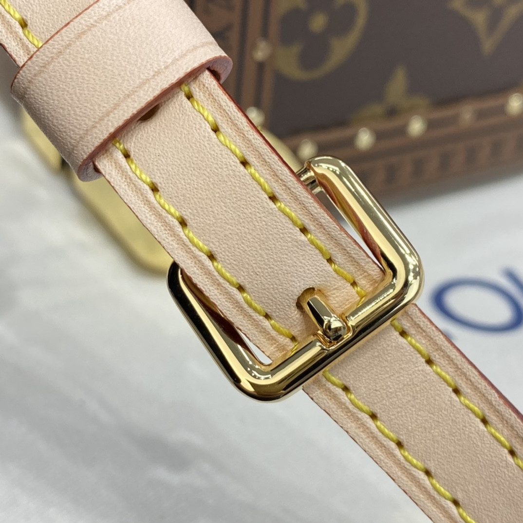 Louis Vuitton Odéon Bag