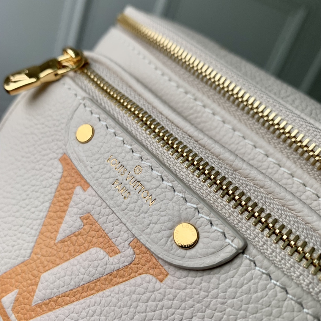 Louis Vuitton Bumbag Bag