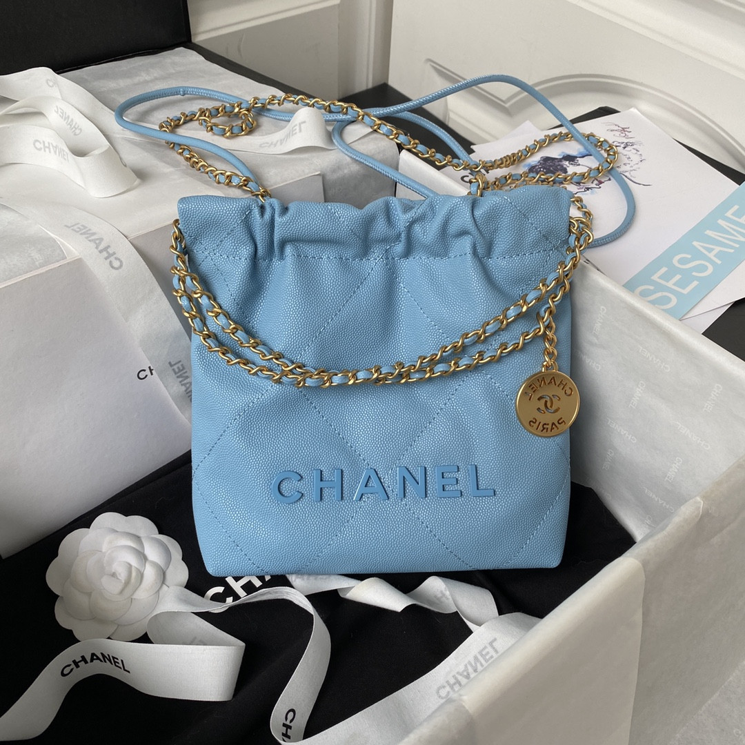 Chanle 22 Backpack Mini