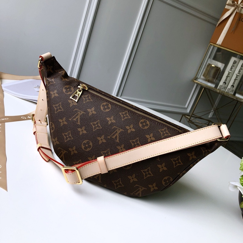 Louis Vuitton Bumbag Bag