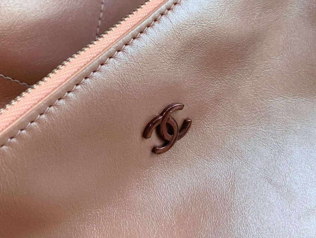 Chanle 22 Backpack