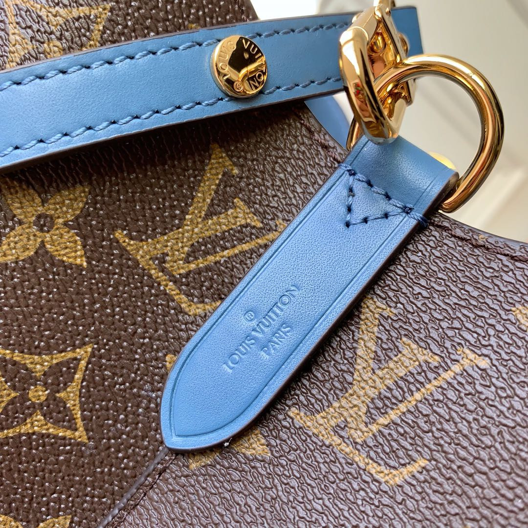 Louis Vuitton Néonoé Bag