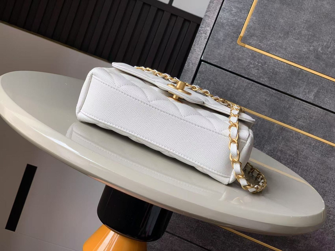 Chanel 25p Classic Double Flap Bag