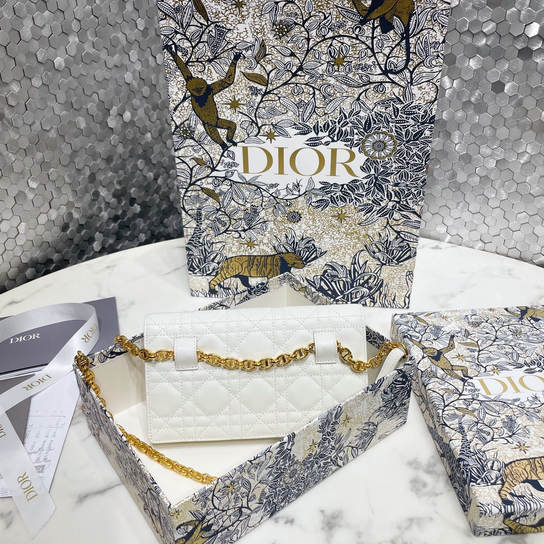 Dior Caro Pouch