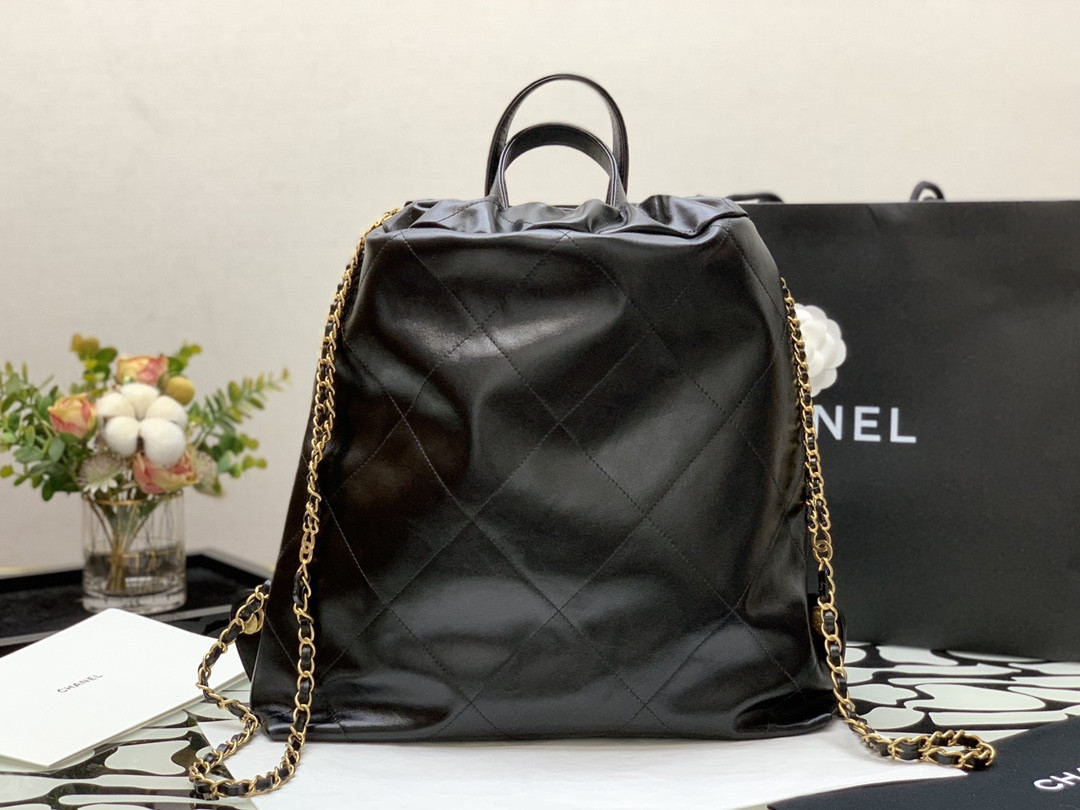 Chanle 22 Backpack