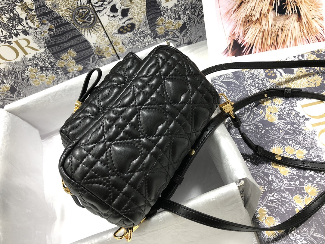 Dior Backpack