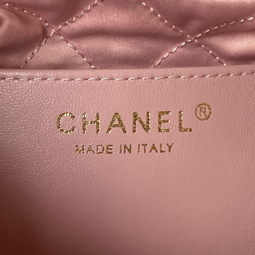 Chanle 22 Backpack Mini