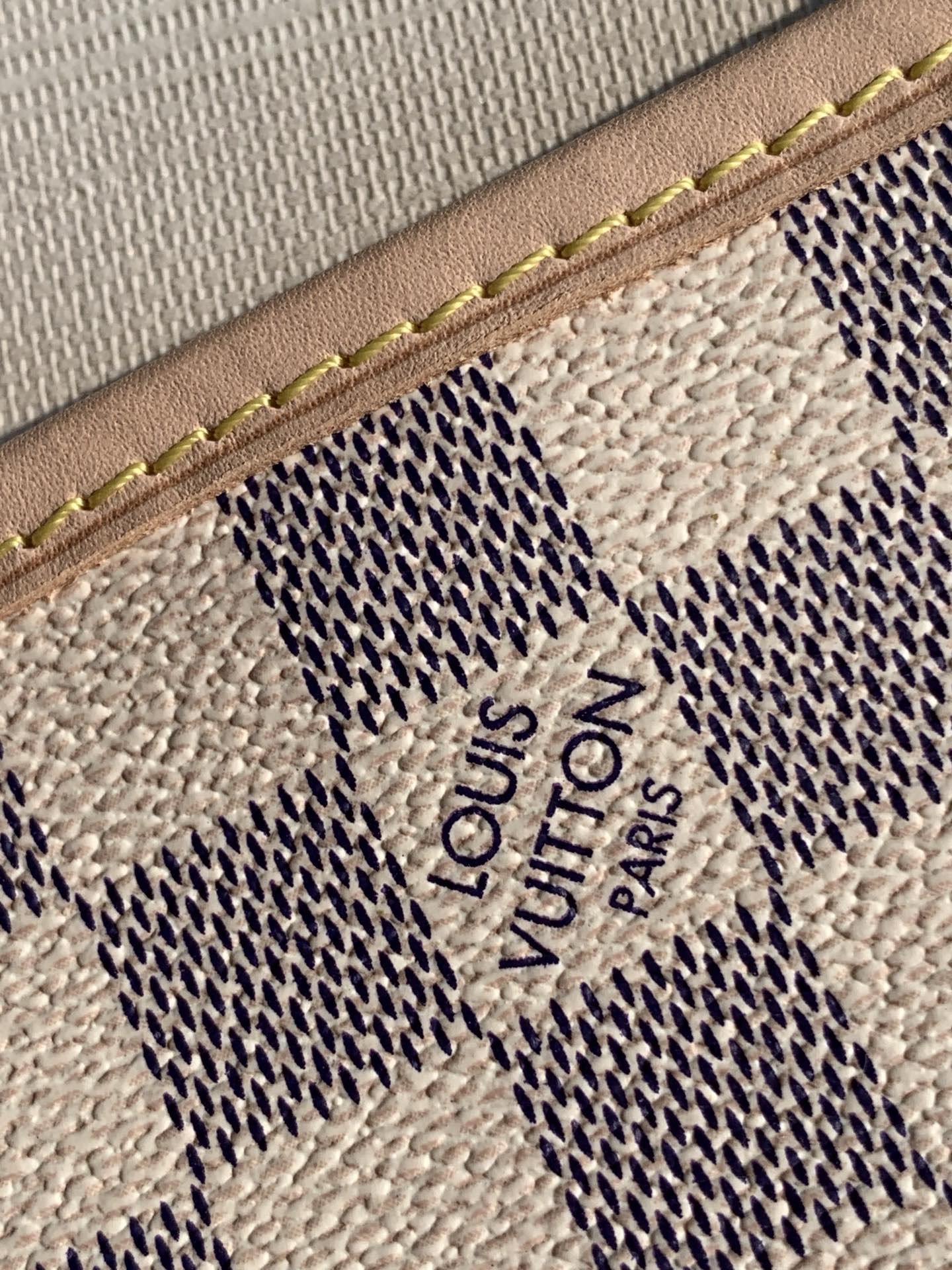 Louis Vuitton Neverfull Bag