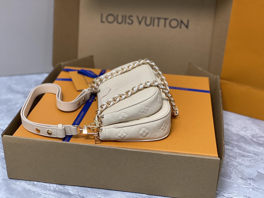 Louis Vuitton Multi Pochette Accessories Bag