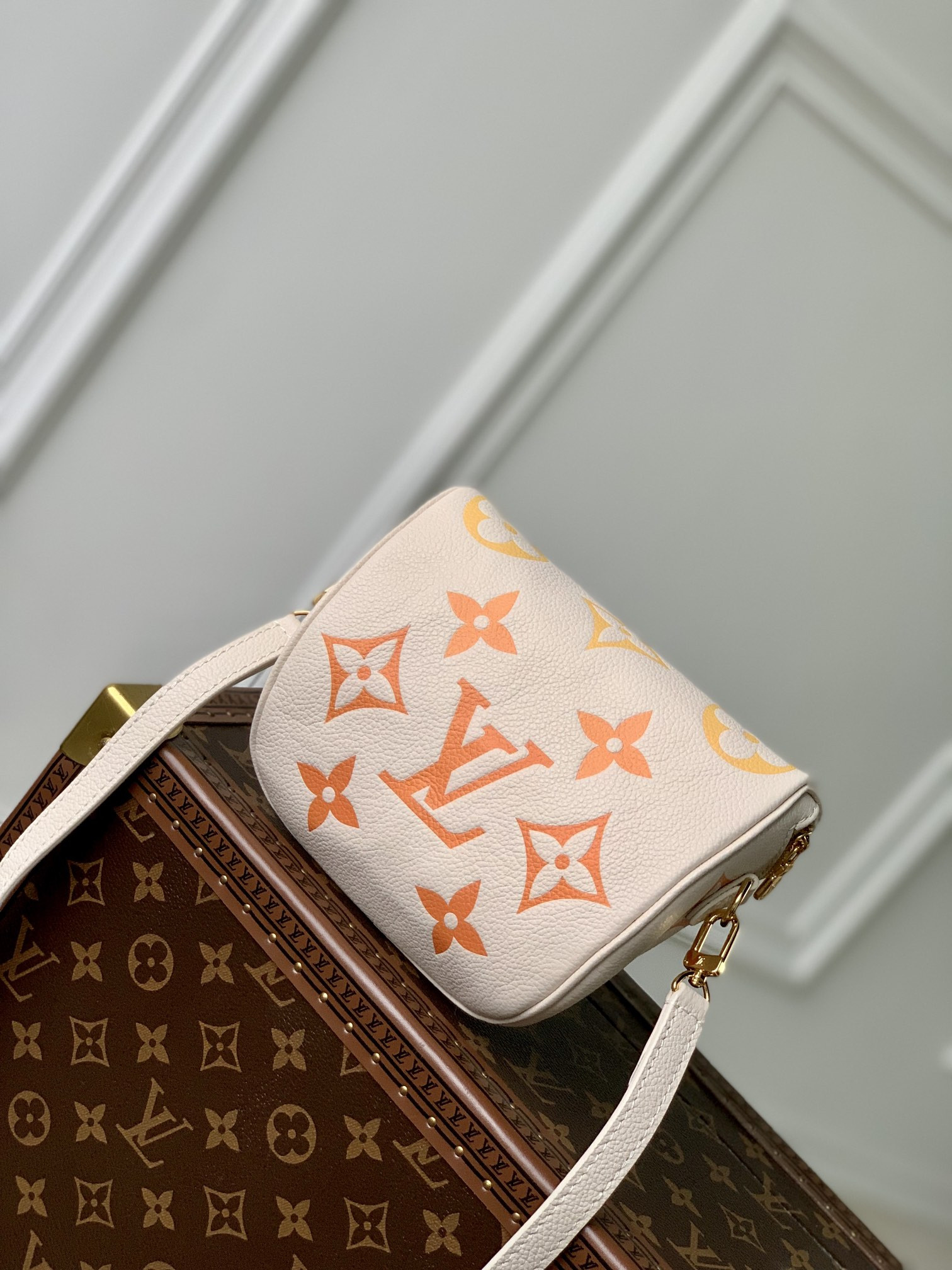 Louis Vuitton Bumbag Bag