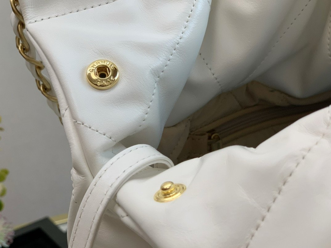 Chanle 22 Backpack