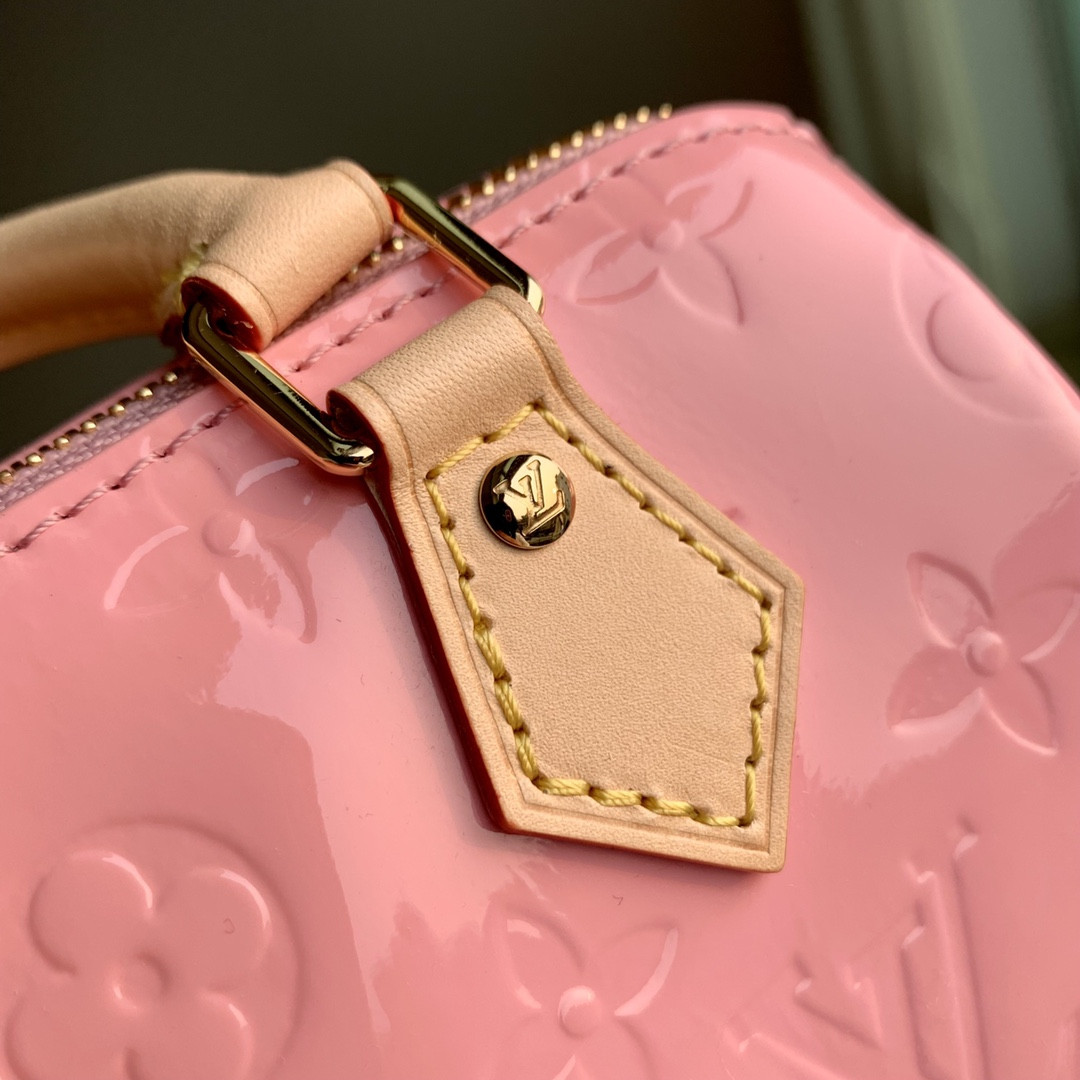 Louis Vuitton Speedy Bandoulière 25 Bag