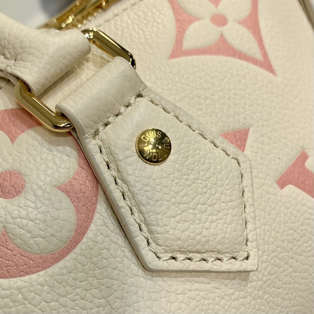 Louis Vuitton Speedy Bandoulière 20 Bag
