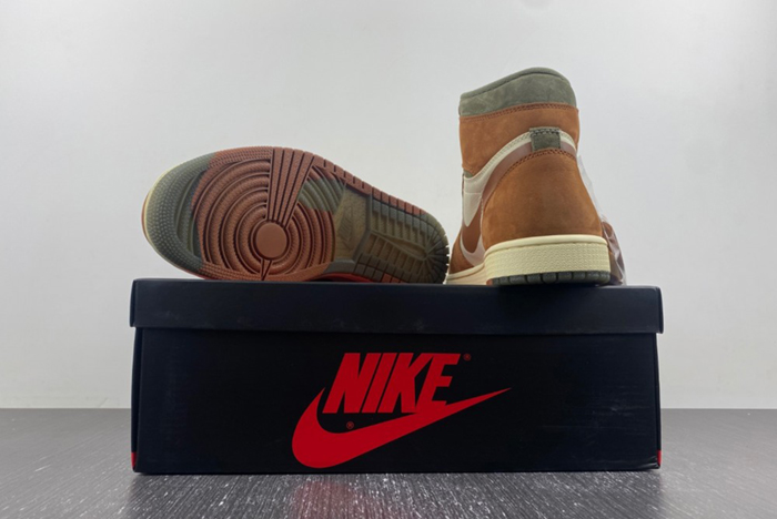 AJ1 Gore-Tex Jordan 1 High DB2889-100