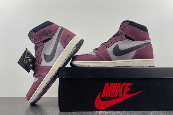 AIR JORDAN 1 HIGH ELEMENT GORE-TEX 