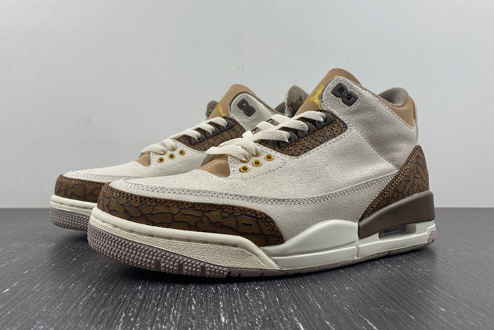 Air Jordan 3 “Palomino”  CT8532-102