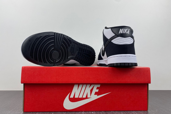 Nike Dunk Mid DV0830 102