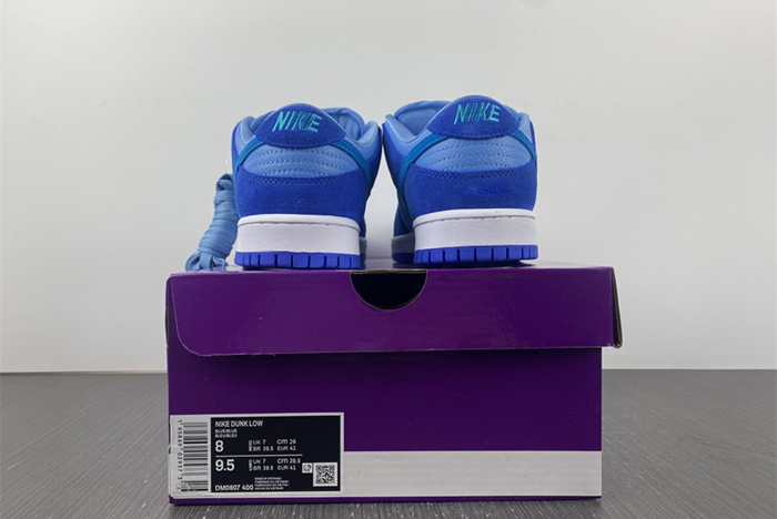 Nike SB Dunk Low Pro  DM0807-400