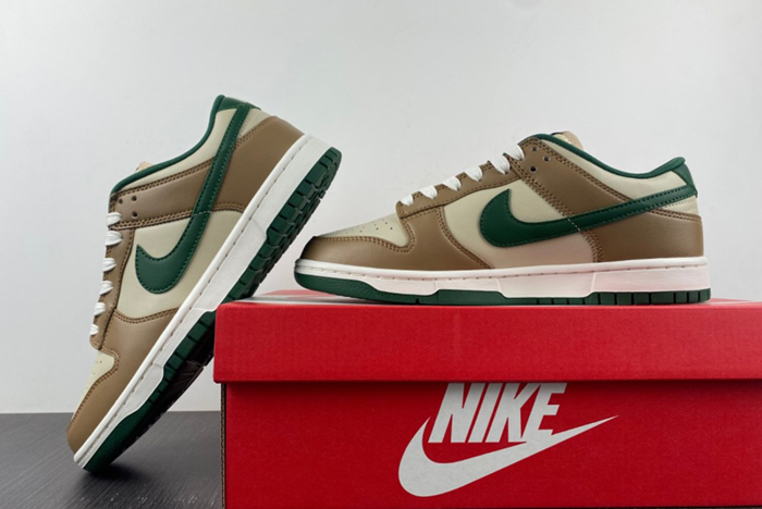 Nike Dunk Low Retro FB7160-231