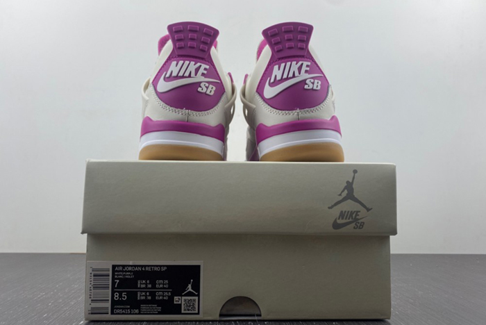 Air Jordan 4  DR5415-106