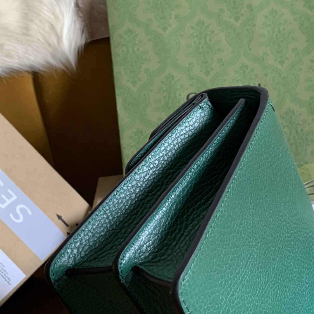 G*u*i dionysus bag