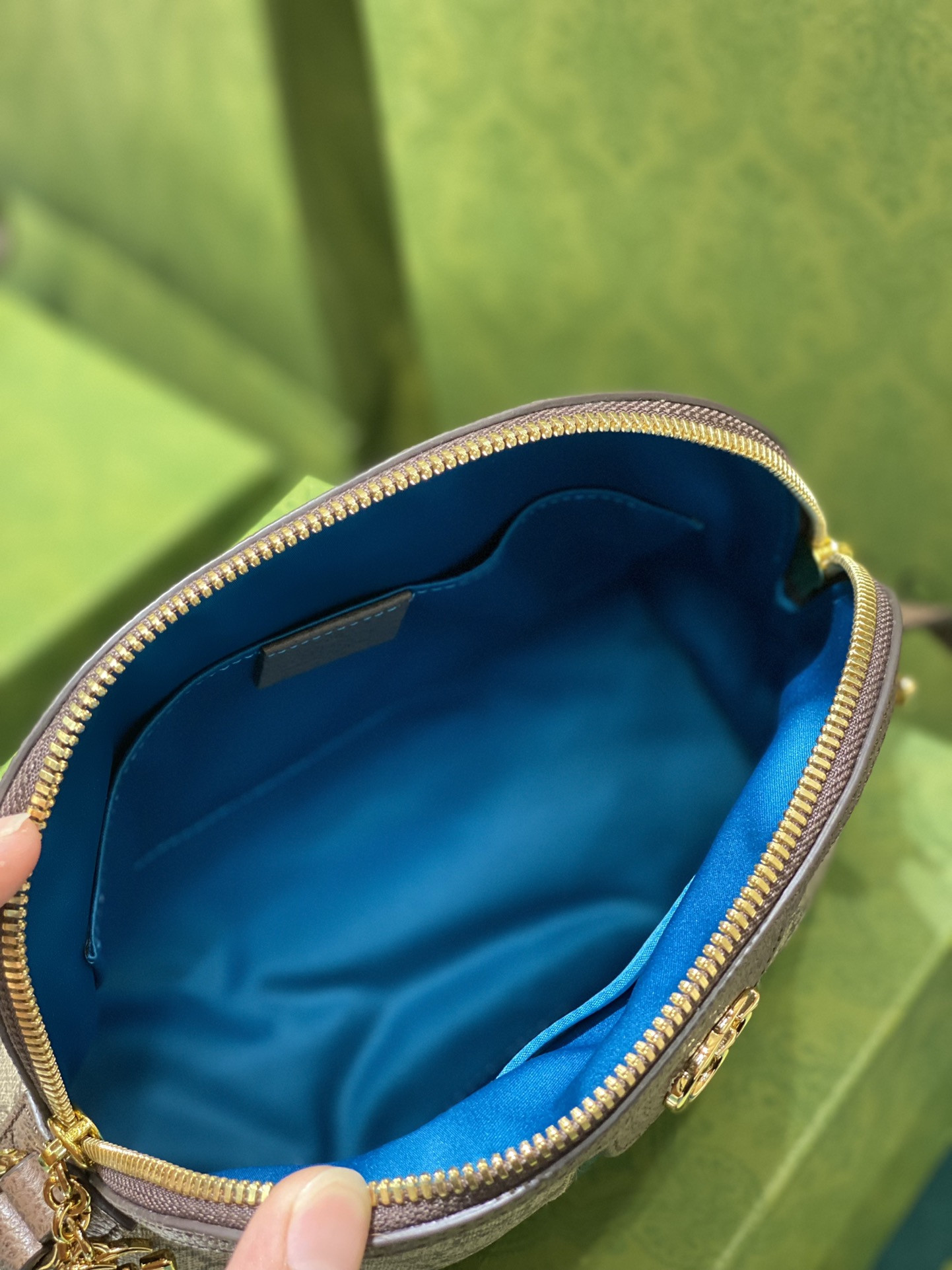 G*u*i ophidia bag