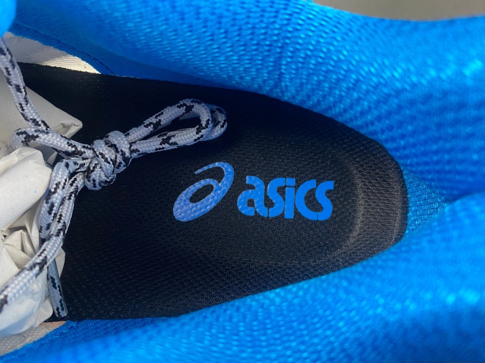 （asics） Gel Nimbus 10.1 